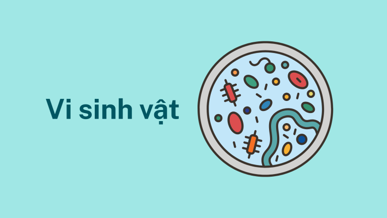 Vi sinh vật